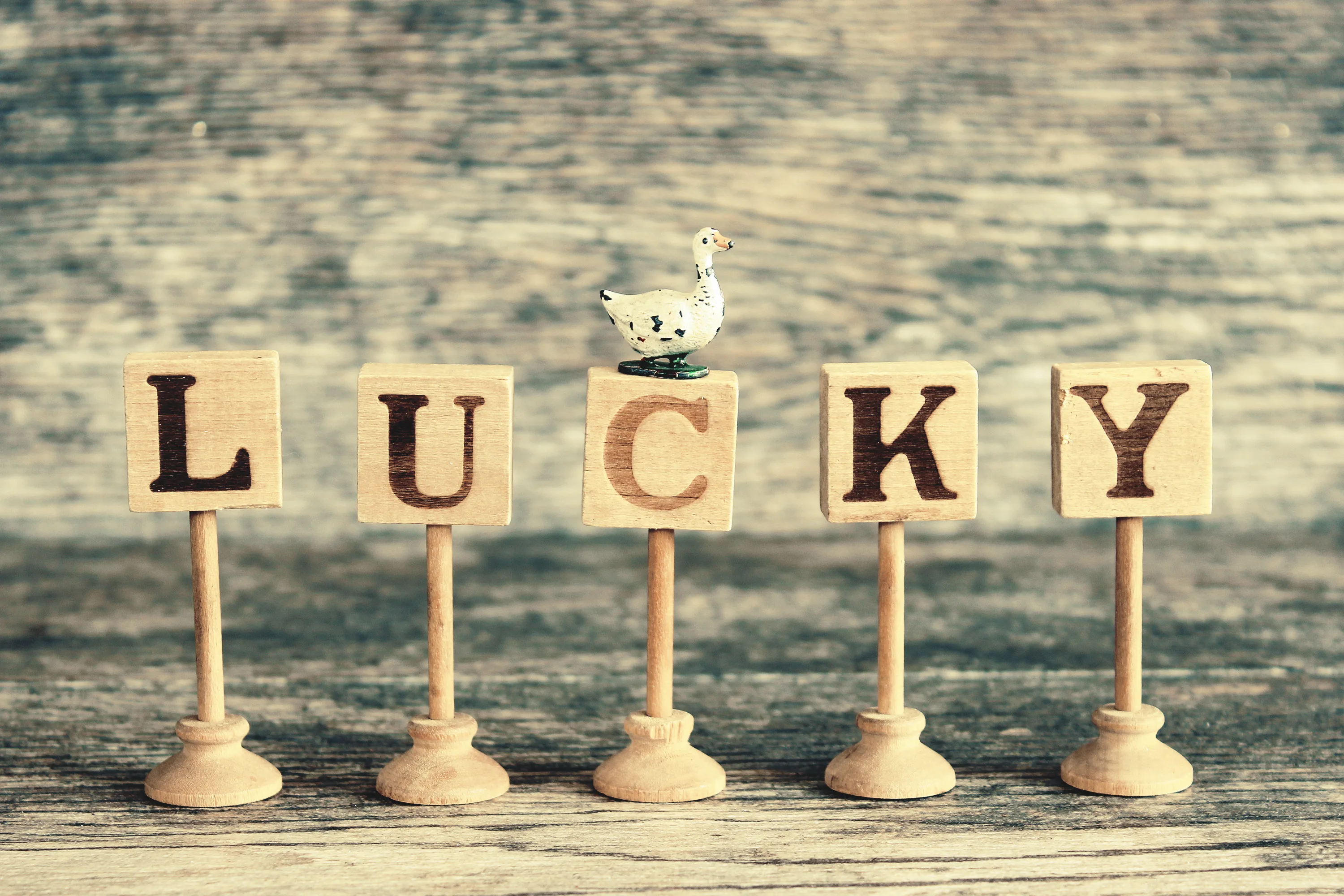 Wooden blocks with the word lucky and a small duck figurine